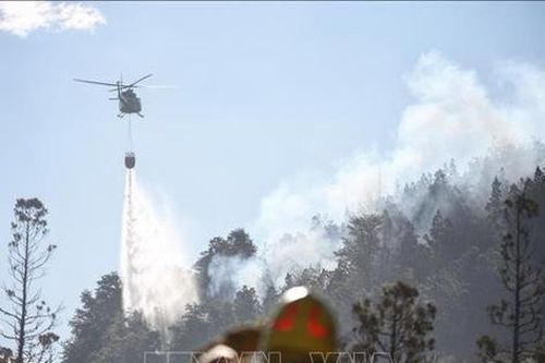 Cháy lan rộng mất kiểm soát tại Công viên quốc gia Los Alerces ở Argentina