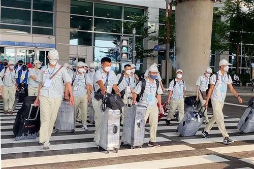 Mỏ vàng xuất khẩu lao động, người dân cần rõ các thông tin quan trọng này nếu muốn đổi đời