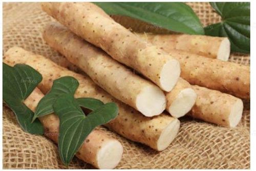 Món ăn bài thuốc bổ thận