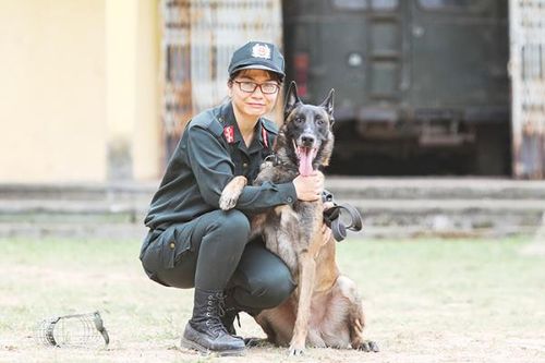 Nữ bác sĩ thú y và tình yêu với những 'chiến sĩ' bốn chân
