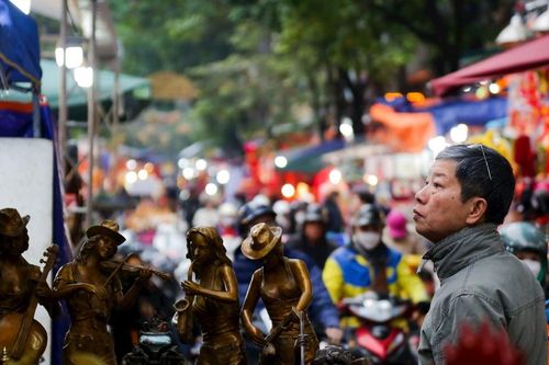Hà Nội: Chợ hoa Xuân phố Hàng Lược rực rỡ dịp cận Tết