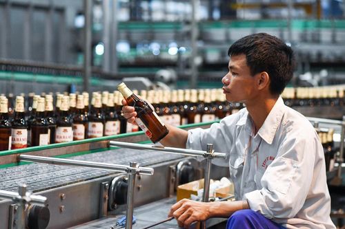 Bia Hà Nội bốc hơi gần 30% lợi nhuận