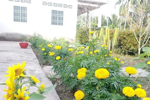 Nhớ hoài cảnh tát mương ăn Tết