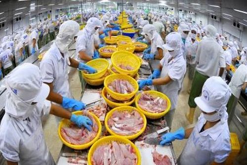 Xuất khẩu thủy sản 2024 dự báo đạt 9,5 tỷ USD nhờ những cú 'bẻ lái'