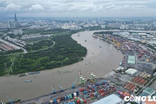 Quyết tâm thực hiện hiệu quả Nghị quyết 98: TP HCM xử lý cá nhân, tập thể có tâm lý cầm chừng