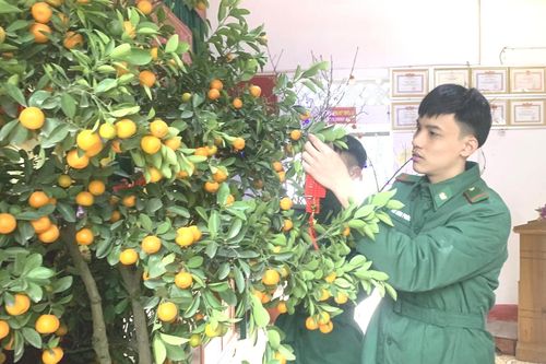 Mùa Xuân và những người chiến sỹ Biên phòng