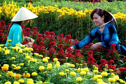 XUÂN LONG AN