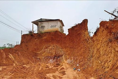 Phát hiện vụ đào lấy đất rừng sản xuất trái phép quy mô lớn