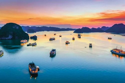Lượng tìm kiếm du lịch Việt Nam lọt top 10 thế giới