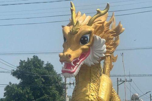 Rồng TP Cam Ranh lộ diện: Người khen dễ thương, người nói giống kỳ lân