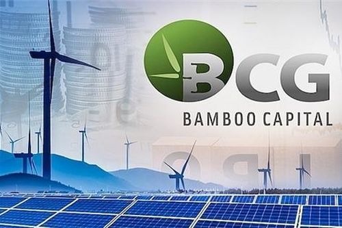 Bamboo Capital đạt 4.012 tỷ doanh thu, tổng nợ giảm mạnh