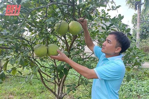 Phát huy vai trò nêu gương ở Đảng bộ xã Phú Lộc