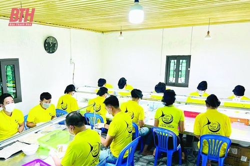 Doanh nghiệp sau 'bão dịch' (Bài cuối): Cuộc 'cách mạng' làm mới chính mình