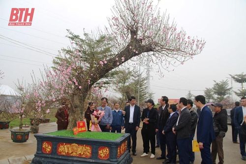 Về Triệu Sơn đi Hội chợ hoa đào