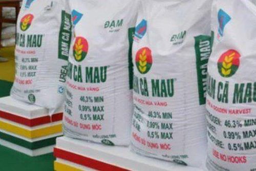 Đạm Cà Mau: Tăng 14% tiền gửi ngân hàng, nối dài chuỗi lãi nghìn tỷ