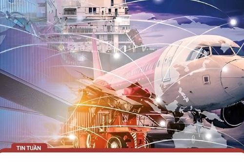 Nhiều doanh nghiệp Việt 'sập bẫy' lừa đảo thương mại quốc tế