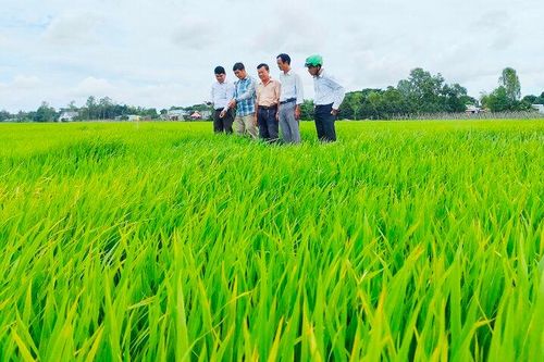Huyện Châu Phú tập trung nhiệm vụ năm 2024