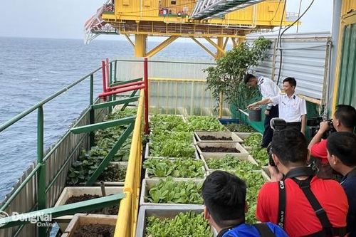 Hải trình mang Tết đến Nhà giàn: Bài 2: Đón xuân trên nhà giàn
