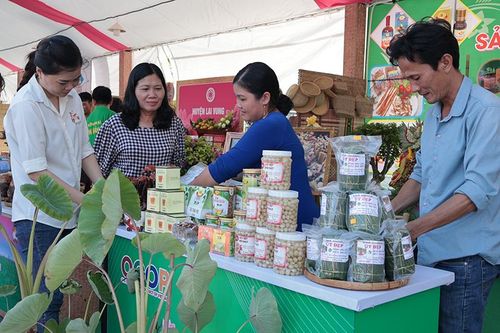 Mở rộng kênh phân phối cho sản phẩm nông, thủy sản