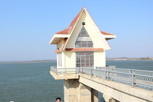 Không chuyển đổi đất rừng làm vùng tưới