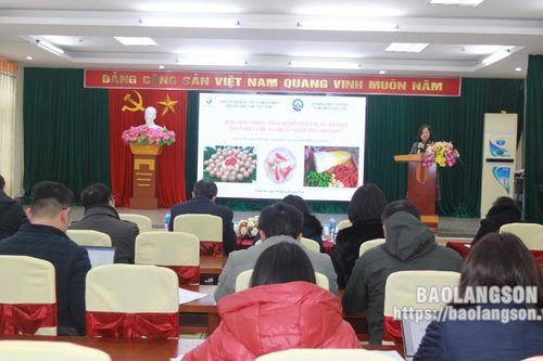 Hội thảo đóng góp ý kiến xây dựng nhãn hiệu tập thể và nhãn hiệu chứng nhận