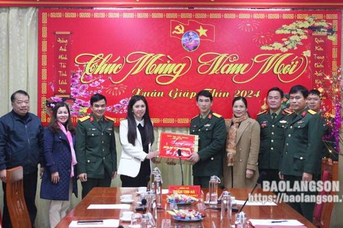 Đoàn công tác của tỉnh thăm, tặng quà tại các huyện, thành phố