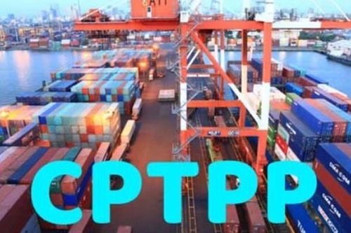 Tăng trưởng xuất khẩu nông sản từ Hiệp định CPTPP
