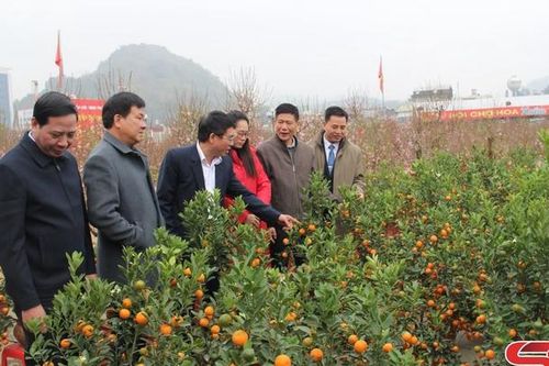Khai mạc Hội chợ hoa xuân thành phố Sơn La - Xuân Giáp Thìn 2024
