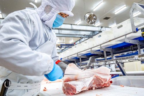 Tập đoàn Dabaco (DBC): Hoạt động kinh doanh cốt lõi tiếp tục lỗ trong quý 4/2023