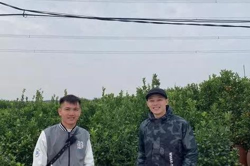 Ngày tết có nên chơi đào, chơi quất?