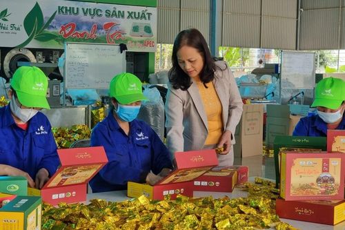 Cuối năm, HTX đau đầu với 'bài toán' nhân lực