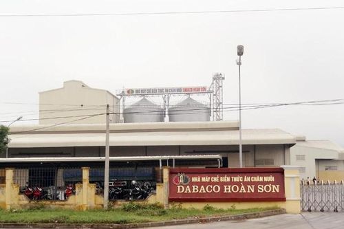 Giá lợn hơi xuống thấp, lợi nhuận Dabaco quý 4 ở mức 6 tỷ đồng