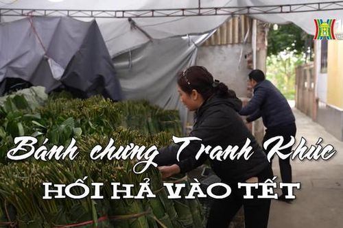 Bánh chưng Tranh Khúc vào vụ Tết | Nhịp sống Hà Nội | 30/01/2024