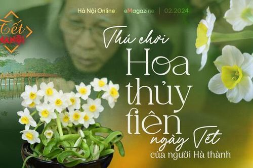 Thú chơi hoa thủy tiên ngày Tết của người Hà thành