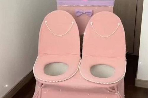 Món quà cưới quá 'chất' khiến cô dâu chú rể ngã ngửa