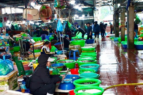 Chợ hải sản lớn nhất Quảng Ninh vắng khách dù cận Tết