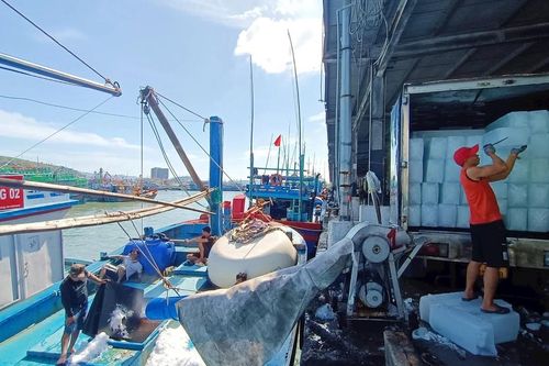 Ngư dân vào chuyến hành trình 'xuyên Tết' trên biển