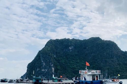 Buộc tháo dỡ toàn bộ lồng bè nuôi trồng thủy sản trái phép trên vịnh Hạ Long trước 3/2