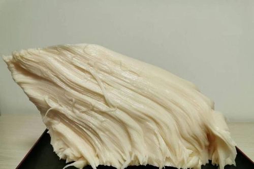 Vớt được tảng thịt khủng, ai ngờ là báu vật giá nghìn tỷ đồng