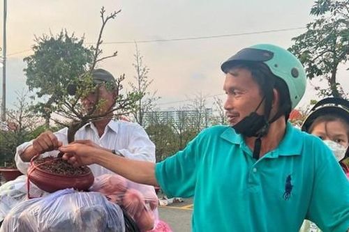 Chợ hoa Tết giá rẻ của người lao động