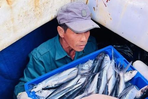 Bội thu chuyến đi biển cuối năm