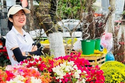 Phố phường Đà Nẵng rực rỡ sắc hoa đón Tết