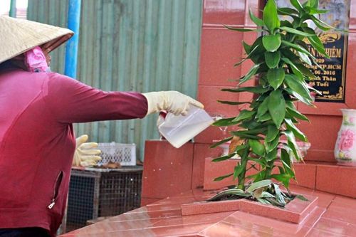 Người phụ nữ 25 năm đón Tết ở nghĩa trang, xúc động thấy cảnh trước mộ phần