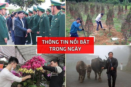 Nghệ An: Thông tin nổi bật ngày 31/1