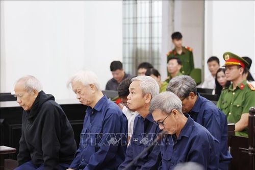 Tuyên phạt 9 bị cáo gây thất thoát hơn 356 tỷ đồng tài sản Nhà nước