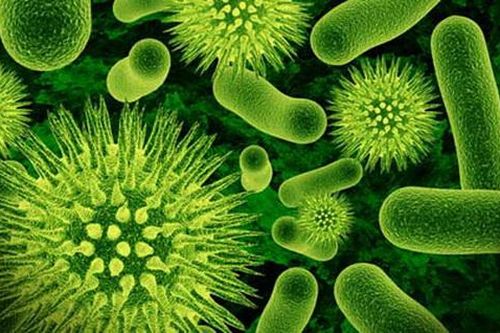 Ít nhất 4 trẻ em tử vong do bệnh ho gà bùng phát ở Serbia