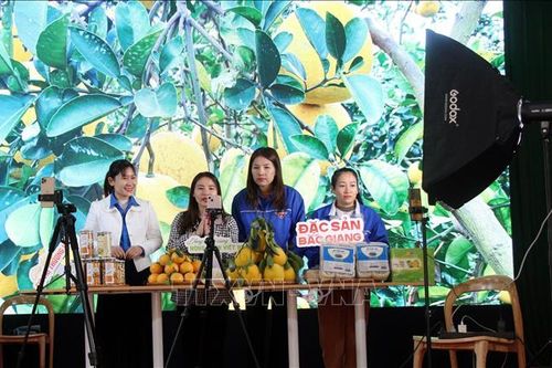 Giảm thiểu rủi ro kinh doanh trên mạng xã hội dịp Tết Nguyên đán
