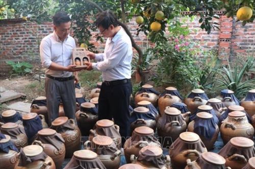 Tăng tốc sản xuất sản phẩm OCOP cung ứng cho Tết
