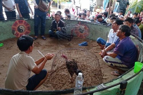 Điều tra vụ án mạng một người bị đâm tử vong do mâu thuẫn đá gà