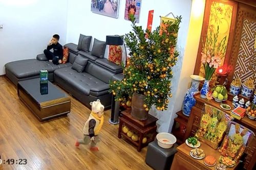 Đang cúng ông Táo, gia đình hoảng hốt khi thấy cháu nhỏ có hành động dở khóc dở cười